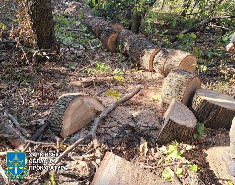 На понад 5 млн грн браконьєри нарубали дерев на Харківщині (фото)