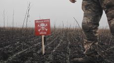 Чем засыпаны поля вокруг Харькова, показали нацгвардейцы (видео)