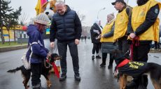 Собак із притулку вигулювали в центрі Харкова: до акції приєднався Терехов