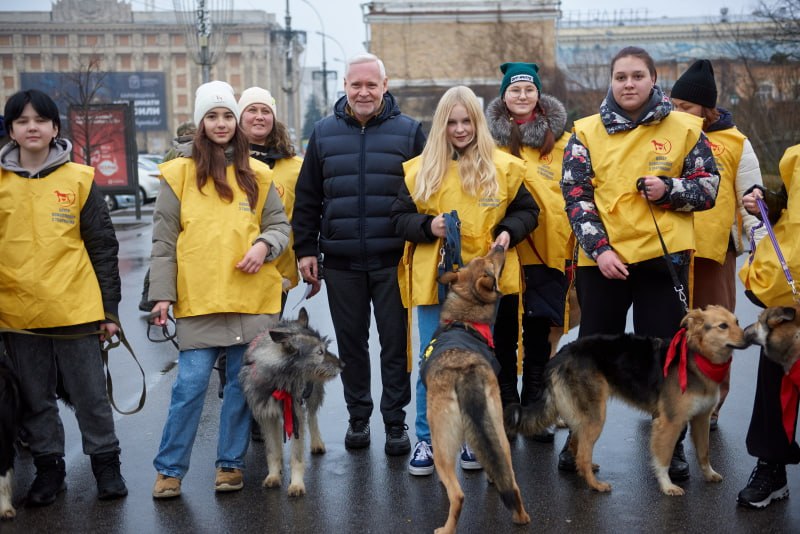 Акция "Возьми друга из приюта в Харькове"