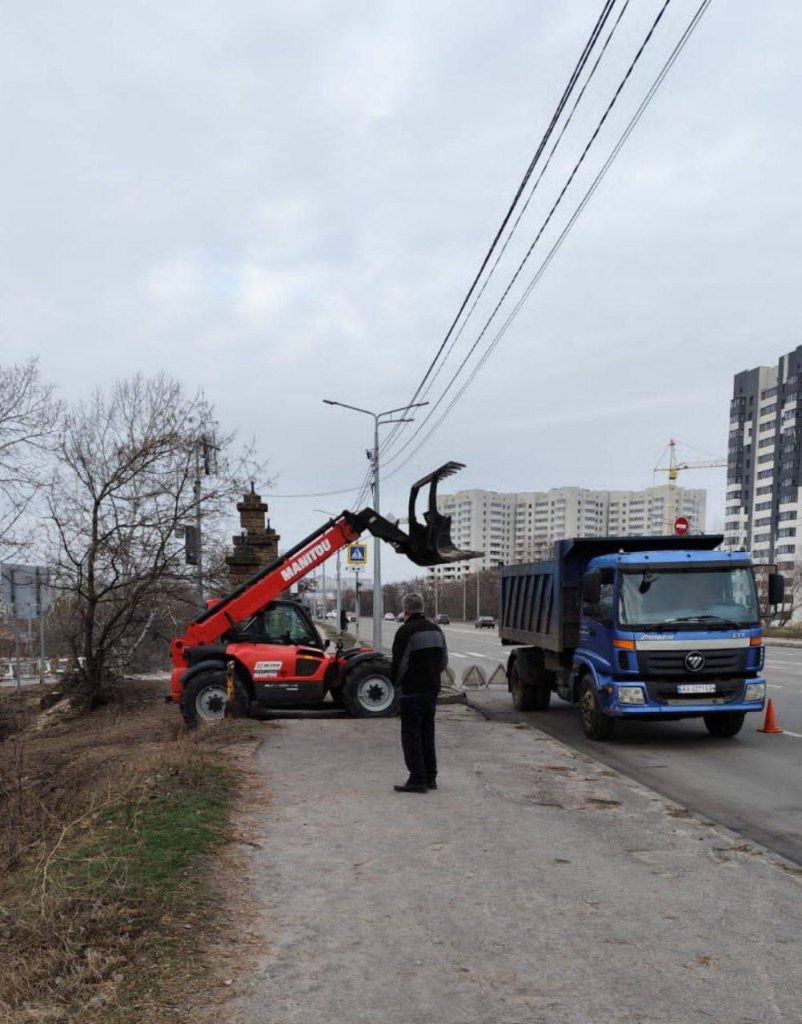 сосновый бор на Журавлевке