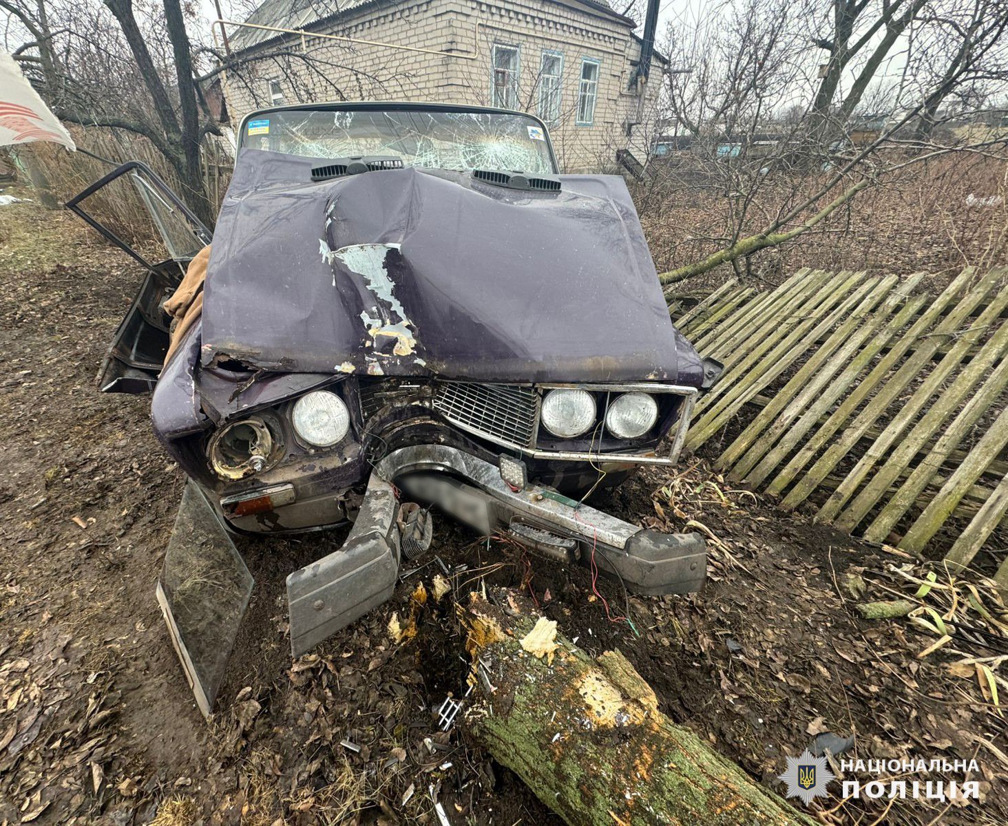 В’їхав у дерево та кинув постраждалу пасажирку: на Харківщині шукають водія