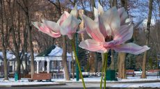 Новини Харкова — головне за 28 лютого: обстріли, приїхали фахівці ЮНЕСКО