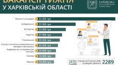 Работа в Харькове и области: вакансии недели от 14 до 25 тысяч гривен