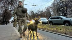 Взрыв в ТЦК и СП в Ровно: есть погибший — данные полиции