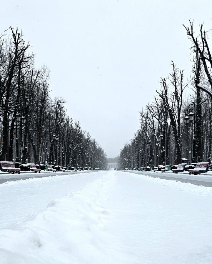 Центральний парк зимою