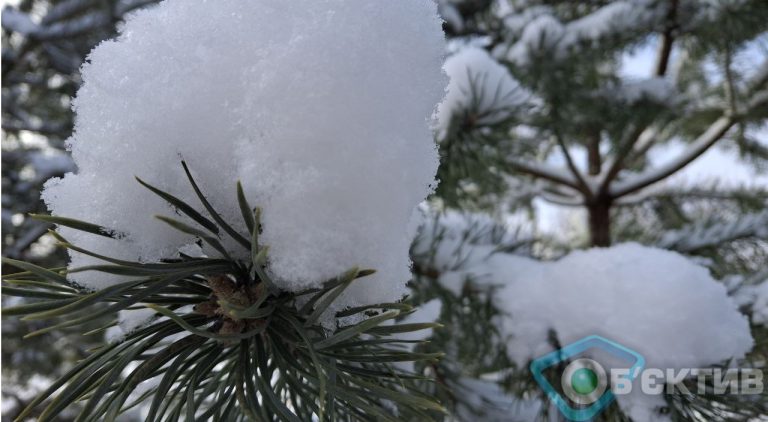 Прогноз погоди в Харкові та області на 23 лютого: морози не відступають