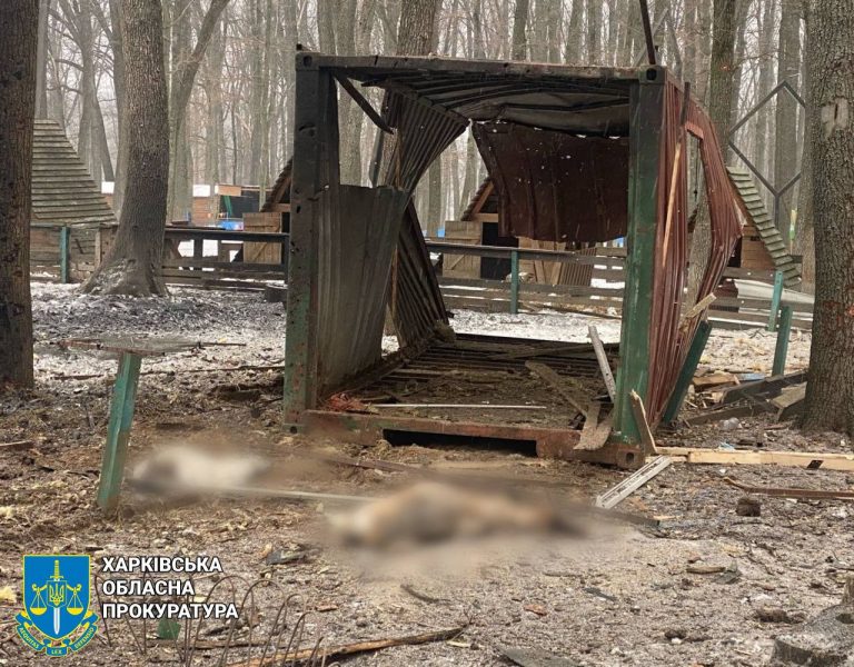 Звери погибли в экопарке из-за ночных обстрелов россиян (фото)