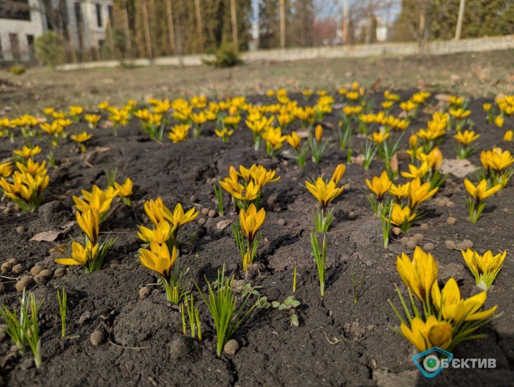 Весняне потепління: новий температурний рекорд зафіксували в Харкові