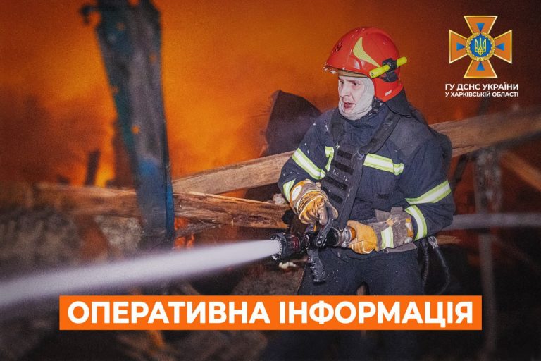 Уранці в Чугуївському районі у вогні загинула жінка – подробиці від ДСНС