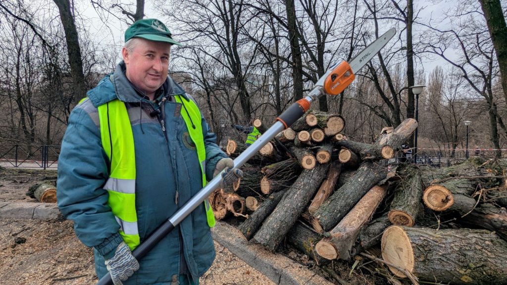 Деревья взялись пилить в Харькове: как спасают насаждения (видео)