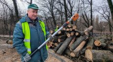 Деревья взялись пилить в Харькове: как спасают насаждения (видео)