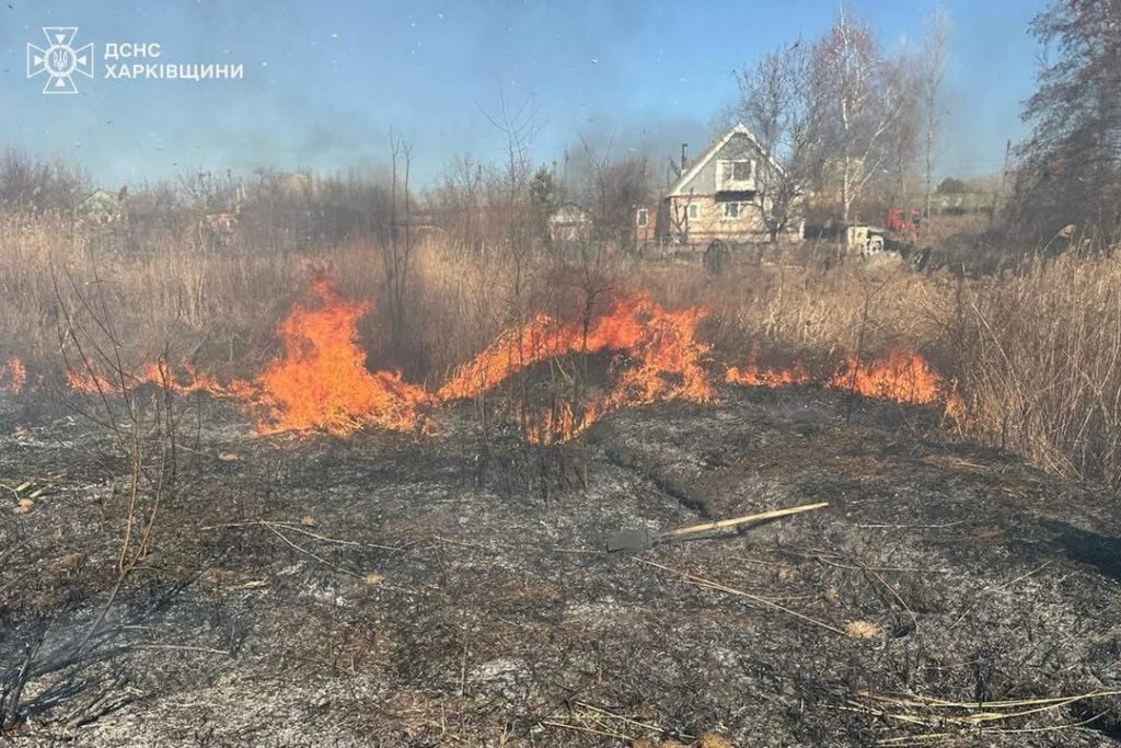 Палила сухостій: пенсіонерка загинула на Харківщині, ДСНС нагадала про штрафи