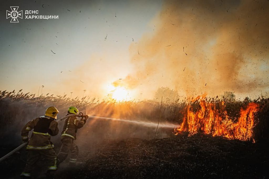 Палії ​​трави активізувалися та знищили 76 га у Харківській області