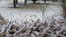 В Харькове и области заснежило. Когда синоптики обещают потепление (видео)