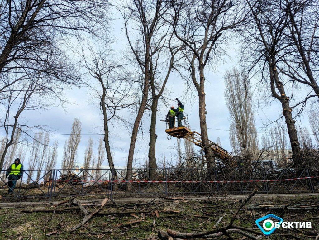 обрізка дерев Харків