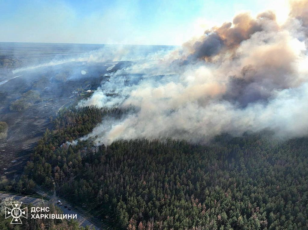 Масштабный пожар бушует в лесу вблизи Балаклеи на Харьковщине (фото)