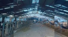Аграрии под ударом: полиция сообщила, что ночью атаковали БпЛА