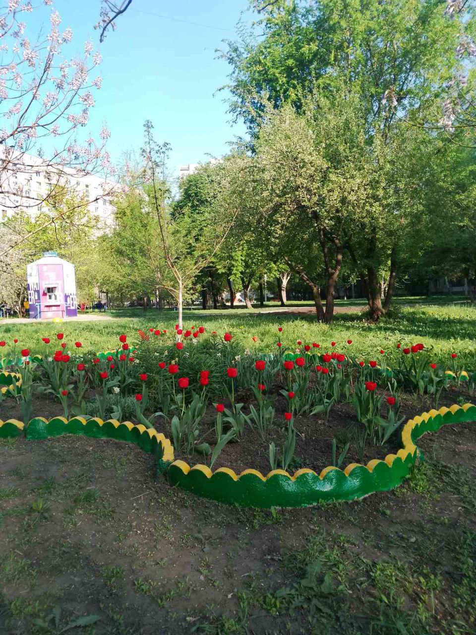 клумба у дворі Немишлянського району Харкова 5